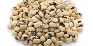 Cowpea Seeds