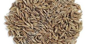 Cumin Seeds