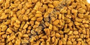 Fenugreek Seeds