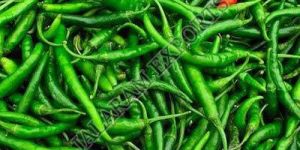 Fresh Green Chilli