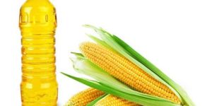 Corn Oil