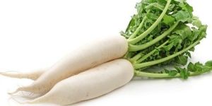 Fresh Radish
