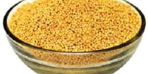 Mustard Seeds