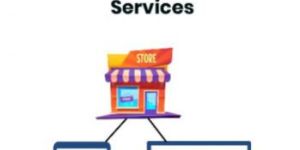 Google My Business Listing Services