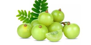Fresh Gooseberry