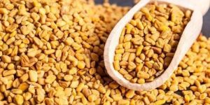 Fenugreek Seeds