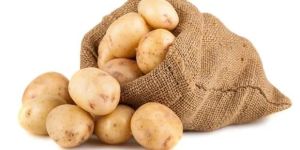 Potato