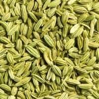 Fennel Seeds