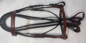 Drop Noseband Bridle