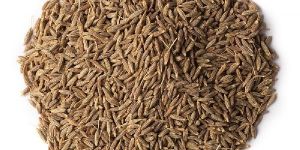 Cumin Seeds