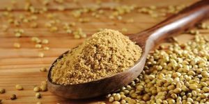 Coriander Powder
