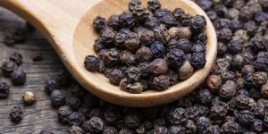 Black Pepper Seeds