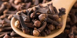 Clove Pods