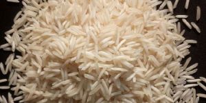 1509 Basmati Rice
