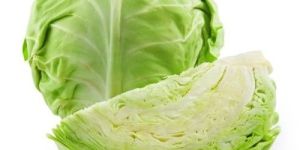 Fresh Cabbage