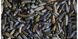 Niger Seeds