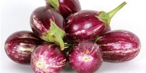 Fresh Brinjal