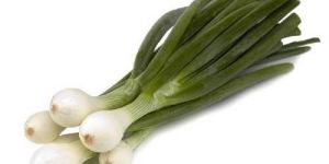 Fresh Spring Onion