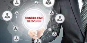 Consulting Services