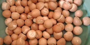 Betel Nuts