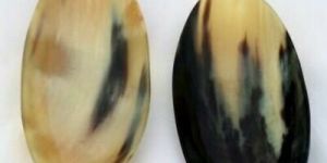 Buffalo Horn Oval Bowl