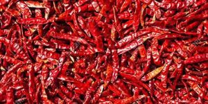Dry Red Chilli