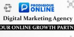Prodigious Online - Digital Marketing Agency in Mohali
