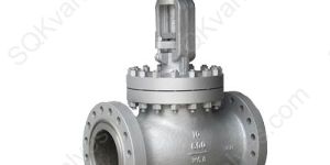 Bolted Bonnet Globe Valve