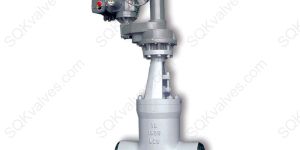 Pressure Seal Bonnet Gate Valve
