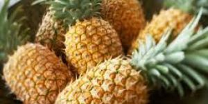 Fresh Pineapple