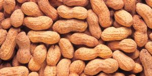 Shelled Peanuts
