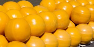 Cheese Ball
