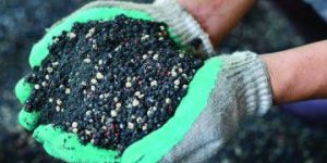 Nitrogen Fertilizer
