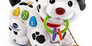 Soft Plastic Toys