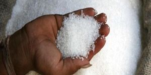 Sugar