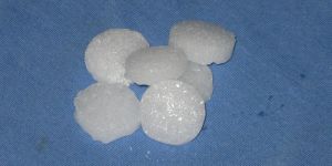 Every Lush Moth Balls