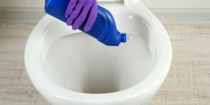 Liquid Toilet Cleaner
