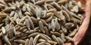 Cumin Seeds