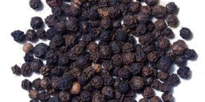 Black Pepper Seeds