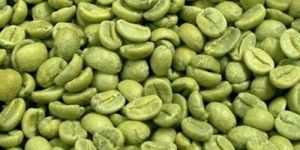 Green Coffee Beans