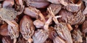 Black Cardamom