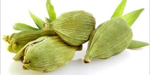 8mm Green Cardamom