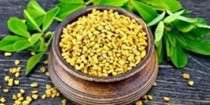 Fenugreek