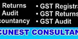 Accounting Consultancy Service