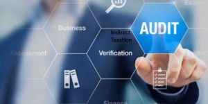 Auditing Services