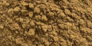 Cumin Powder