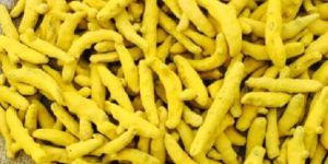 Turmeric Finger