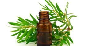 Tea Tree Essential Oil