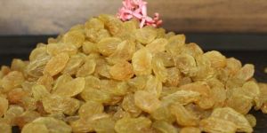 Dried Grapes
