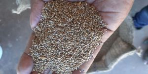 Agricultural Food Products